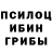 Галлюциногенные грибы Cubensis Manny Canaire