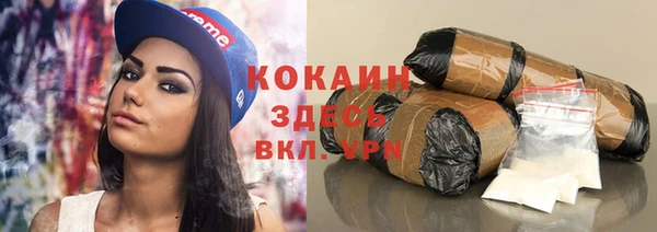 ешки Арсеньев