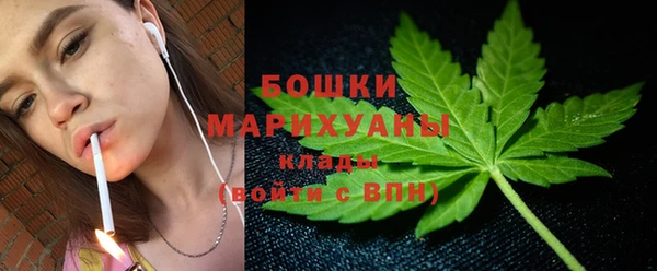 ешки Арсеньев